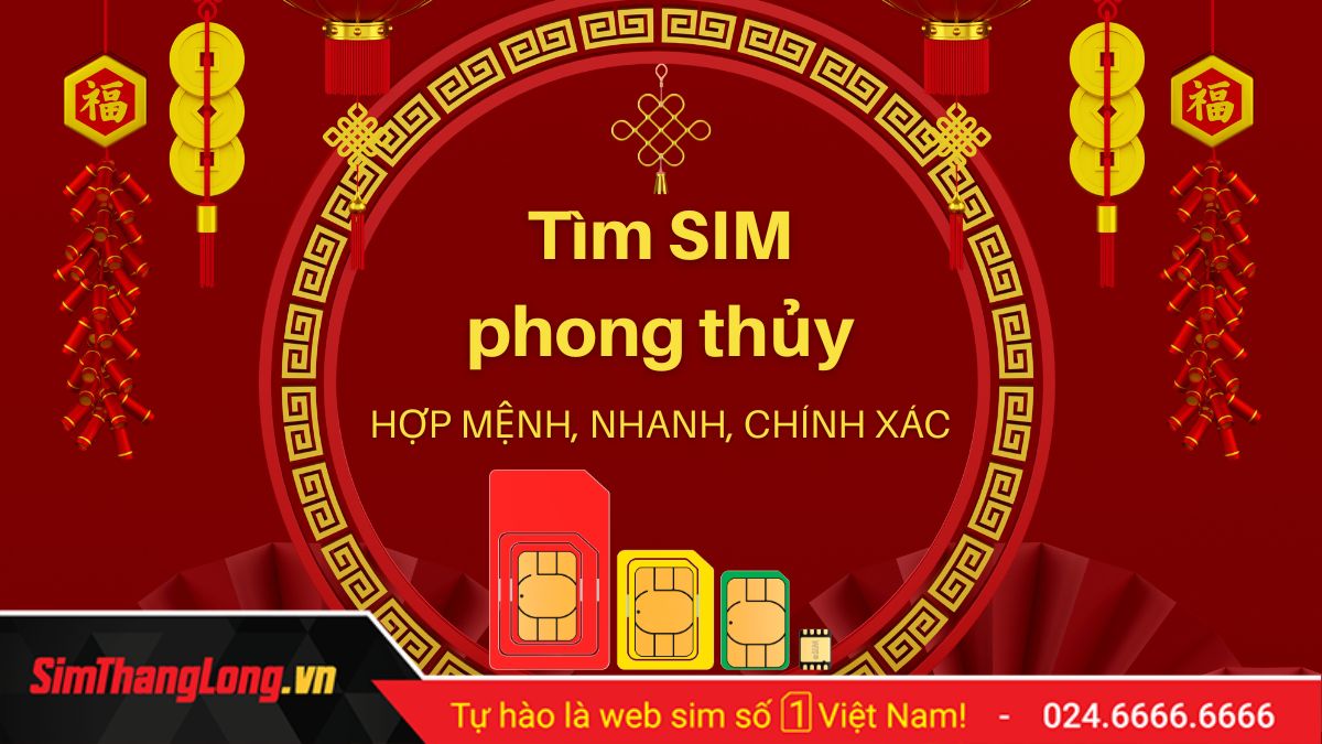 Công cụ dò thám SIM tử vi phong thủy của Sim Thăng Long